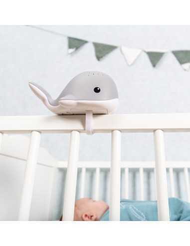 Proiector Lumini cu melodii, Zazu, Wally, Roz, 0+