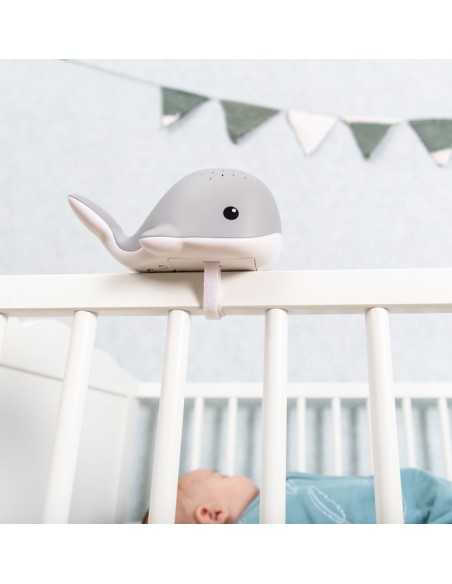 Proiector Lumini cu melodii, Zazu, Wally, Roz, 0+