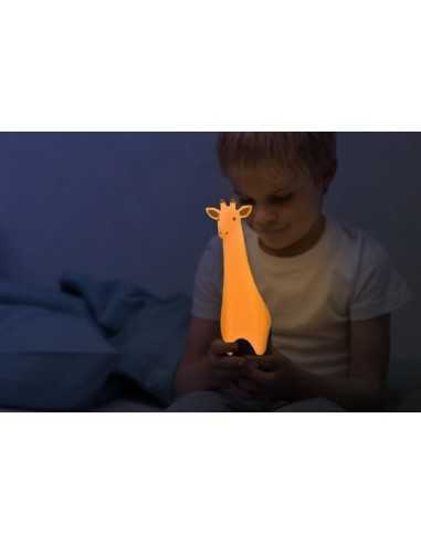Lanterna si Lampa Noapte, Zazu, Gina Girafa, Gri