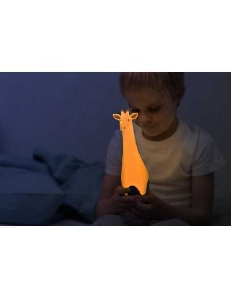 Lanterna si Lampa Noapte, Zazu, Gina Girafa, Gri